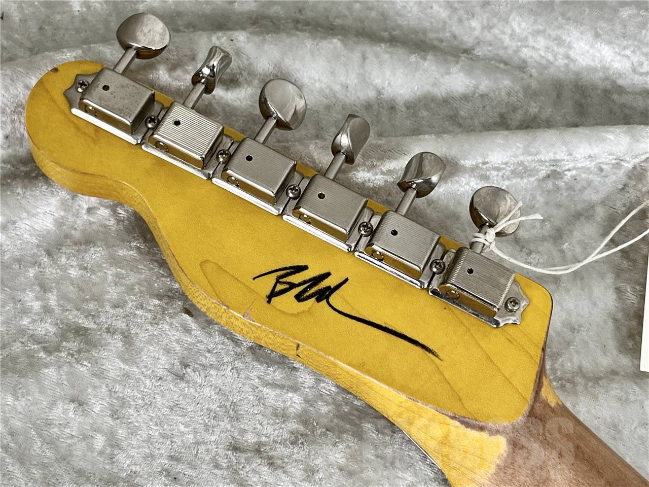 Nashguitars T-52 / Butterscotch Blonde（新品/送料無料）【楽器検索