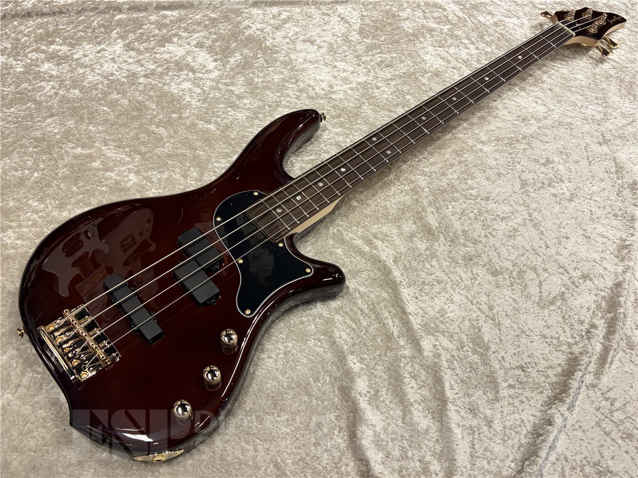 GrassRoots G-BB-DLX【See Thru Brown】（新品/送料無料）【楽器検索
