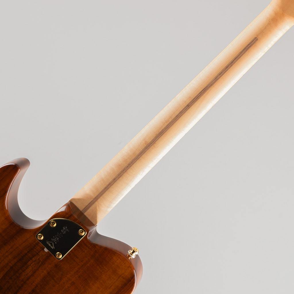 N36 gfc GN8-200 Gloss TSB QM エレキギター FUJIGEN(FGN) MVIL200SQM-U / Darkgoldenrod（新品）【楽器検索