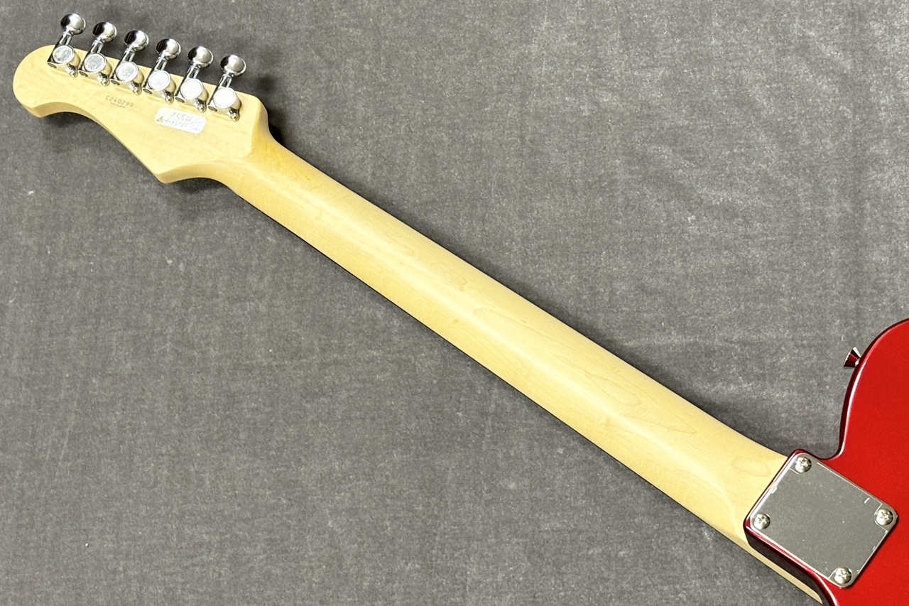 FUJIGEN　エレキギター　BCTE100RBD-CAR/01 outlet】FGN / BCTE100RBD-CAR/01【GIB兵庫】 - Geek IN Box