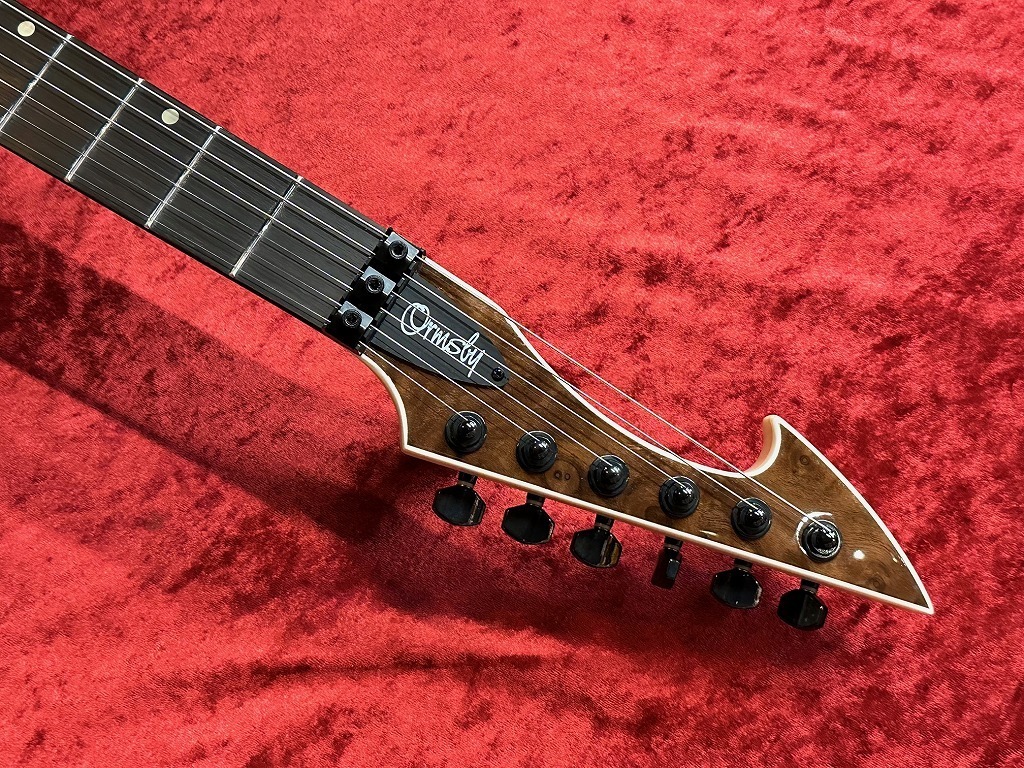 Ormsby Guitars HYPE G6 FLOYD EXO MH WAL【渋谷店】（新品特価/送料