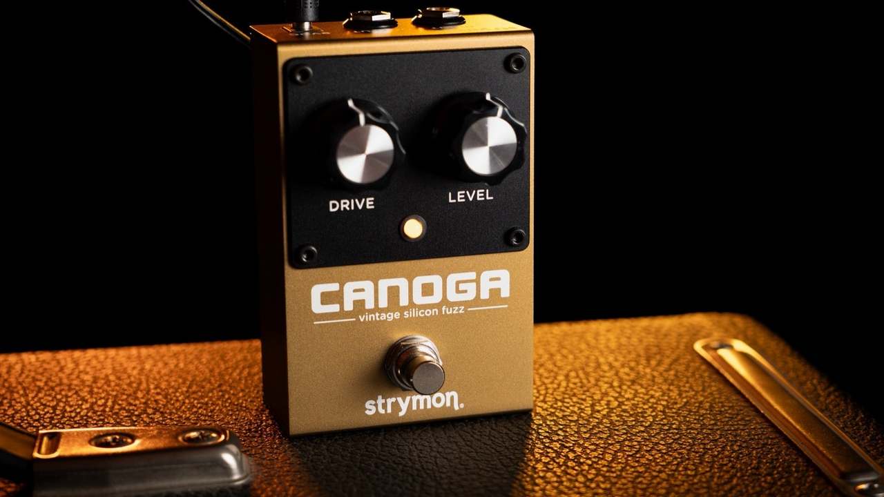 strymon Canoga Vintage Silicon Fuzz【心斎橋店】（新品/送料無料