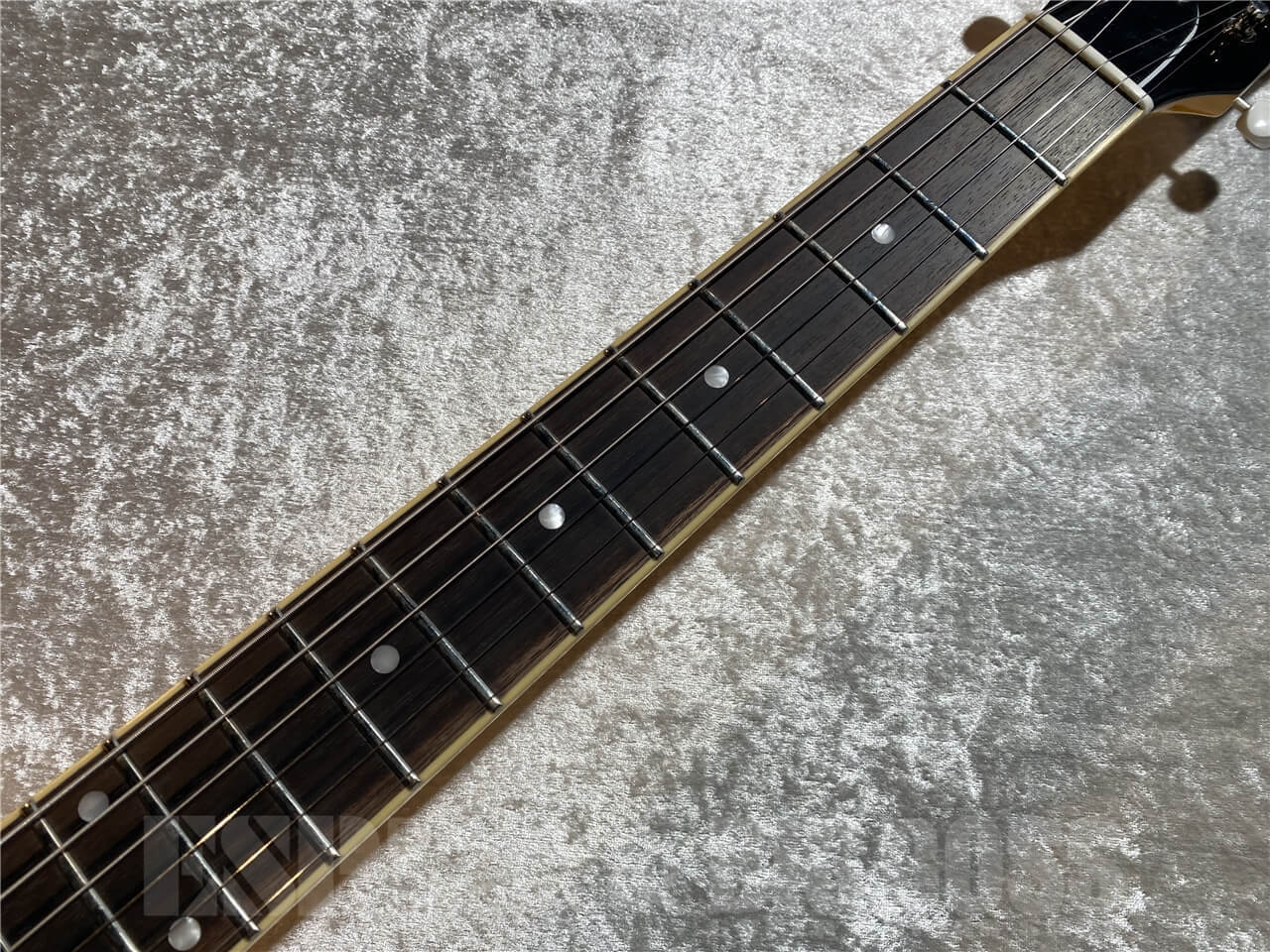 EDWARDS E-LS-LTD (TV Yellow)（新品/送料無料）【楽器検索デジマート】