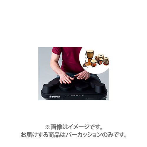 YAMAHA DD-75 デジタルパーカッション（新品/送料無料）【楽器検索