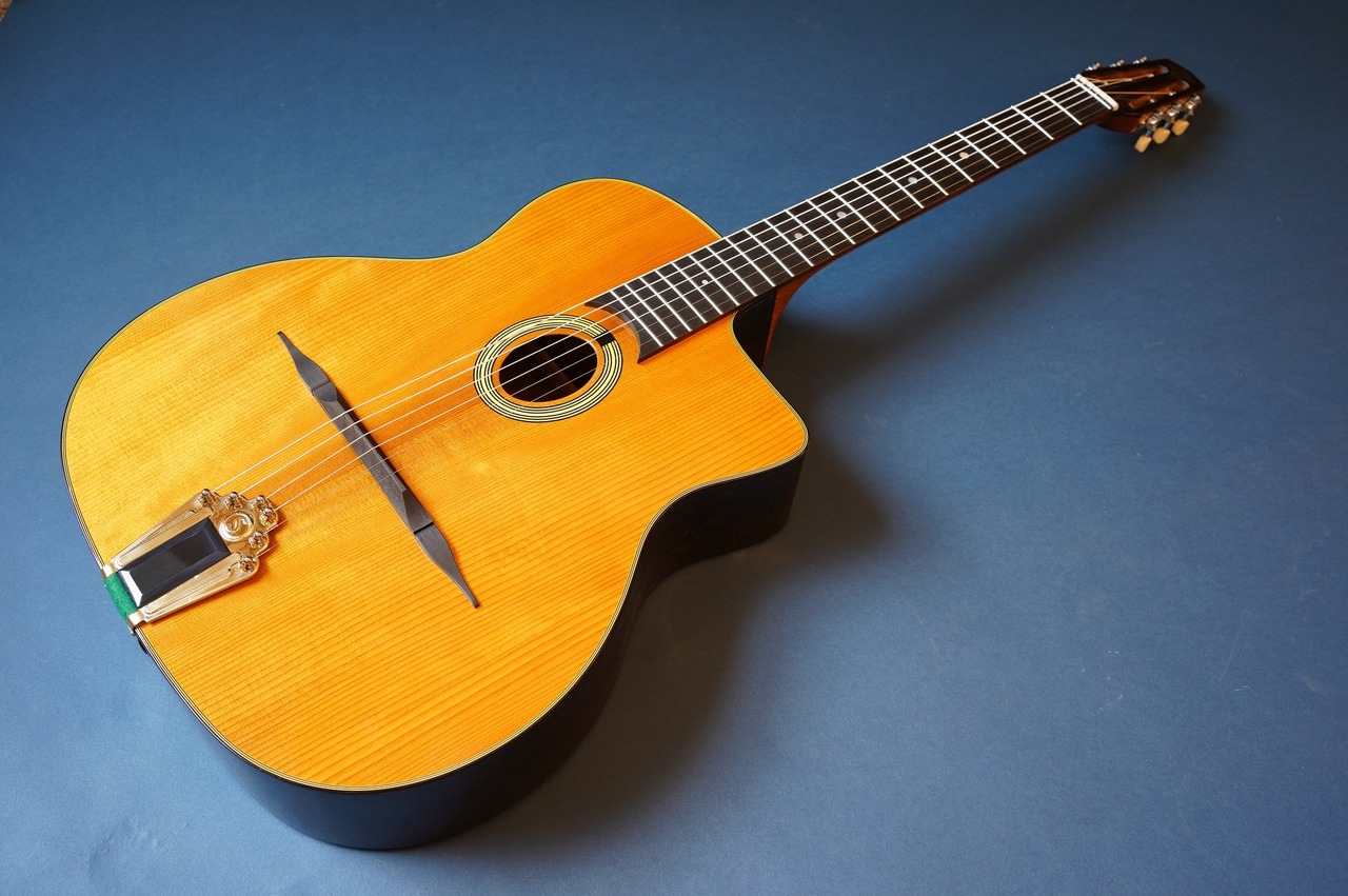 Stringphonic Basic Plus （新品/送料無料）【楽器検索デジマート】