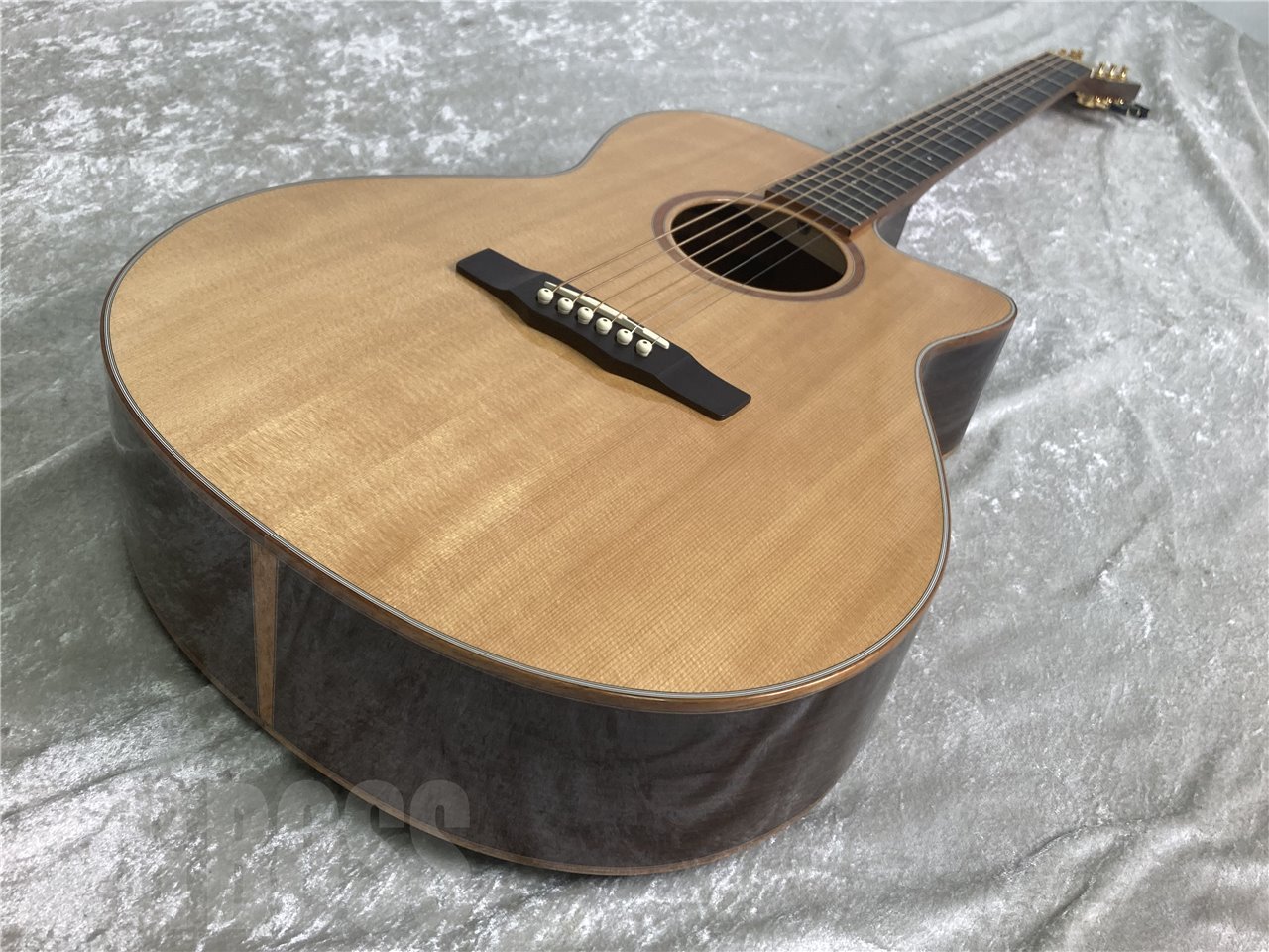 Morris SC-71 NAT （新品/送料無料）【楽器検索デジマート】