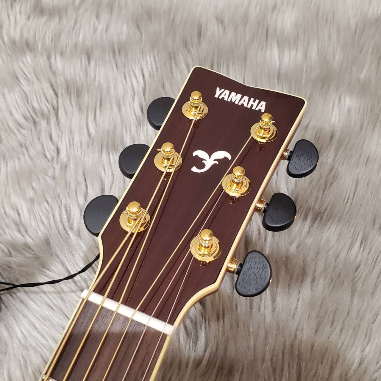 YAMAHA （ヤマハ）FSX875C/島村楽器コラボモデル/エレアコギター【送料