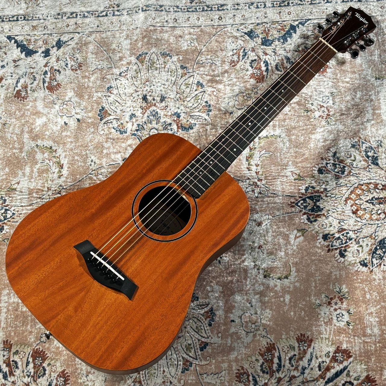 Taylor BT2（新品/送料無料）【楽器検索デジマート】
