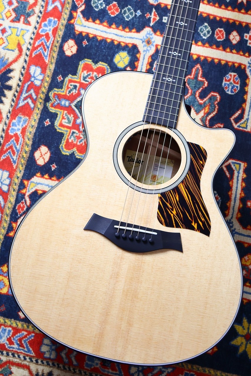 Taylor 【Taylorの進化を体感】312ce Next generation #1202266046