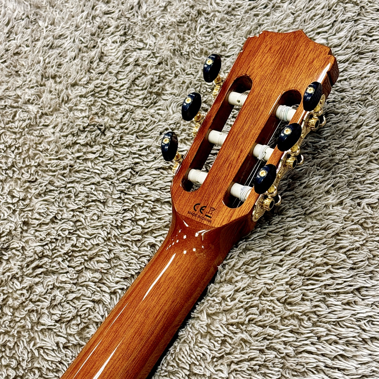 ARIA A-35SCE 【杉 / シダー単板】【エレガット】（新品/送料無料