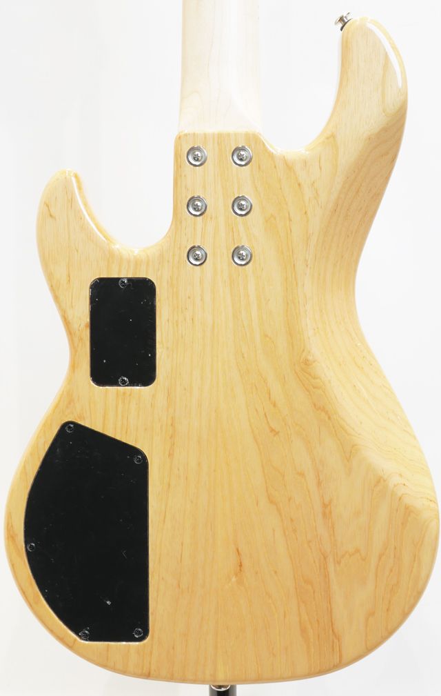 G&L 1981 F100 Series Ⅱ（ビンテージ）【楽器検索デジマート】
