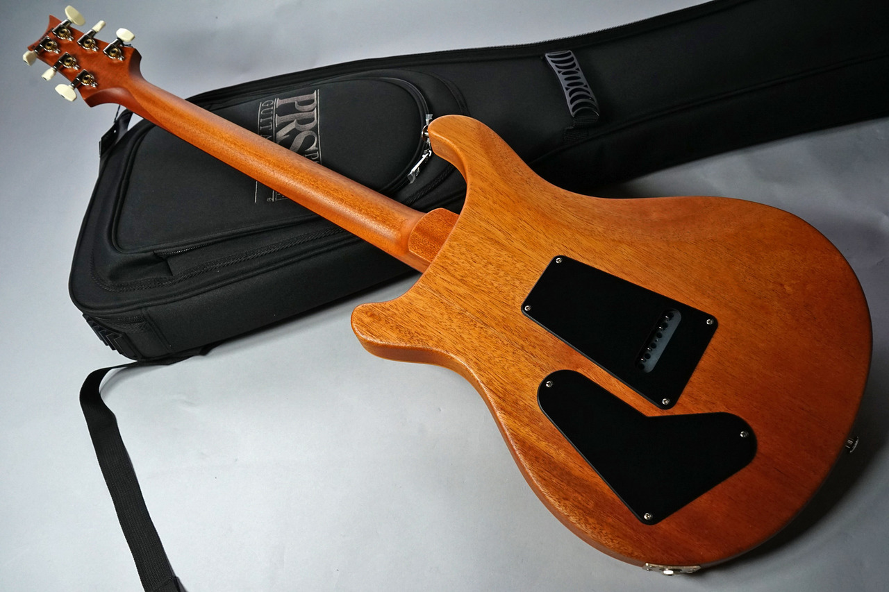 Paul Reed Smith(PRS) S2 Special Semi-Hollow Reclaimed Limited