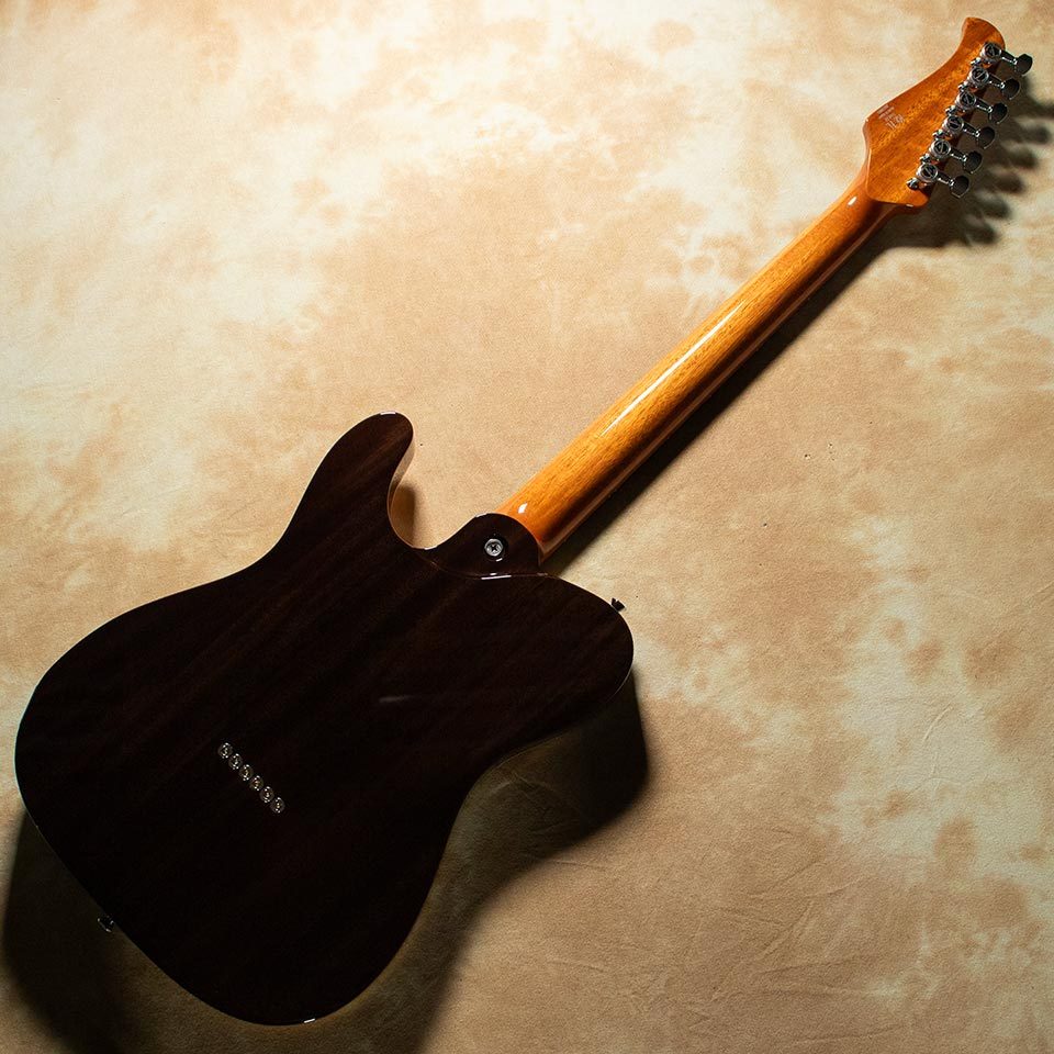 【貴重、輸入品、未使用、休特価】Lindbarg　Curtiss Goshark 40th Anniversary Model · T's Guitars