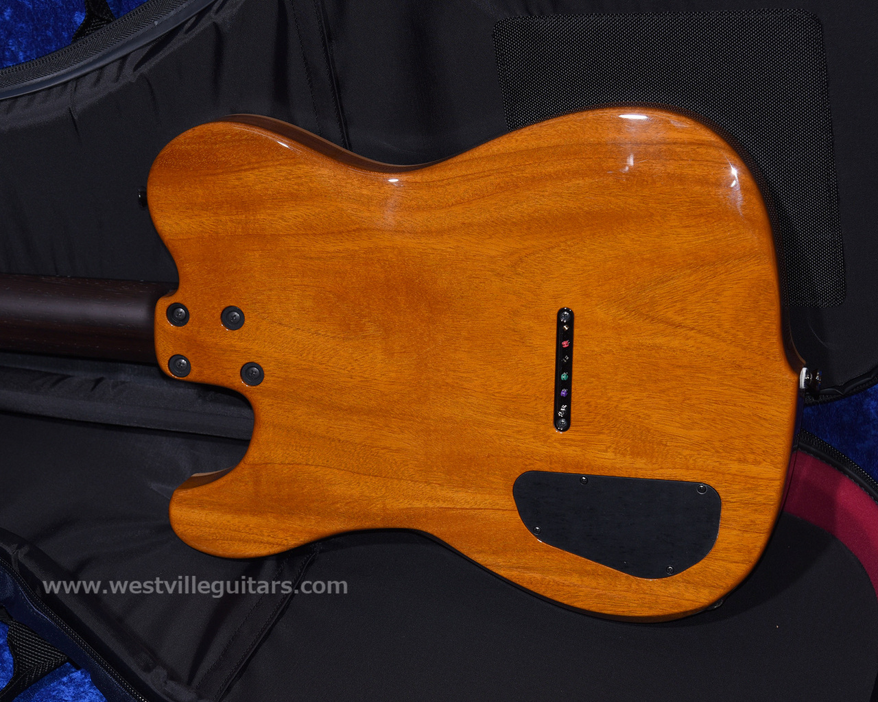 Westville Westel Semi-Hollow (SPR-HM / AL3) / Wenge Wood Neck