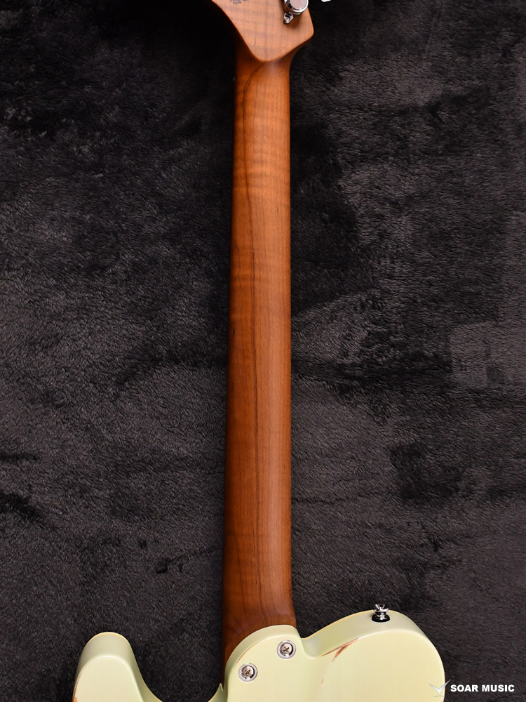 Bacchus TACTICS24-AGED/RSM SBBD-AGED #GI11489 約3.4kg（新品/送料