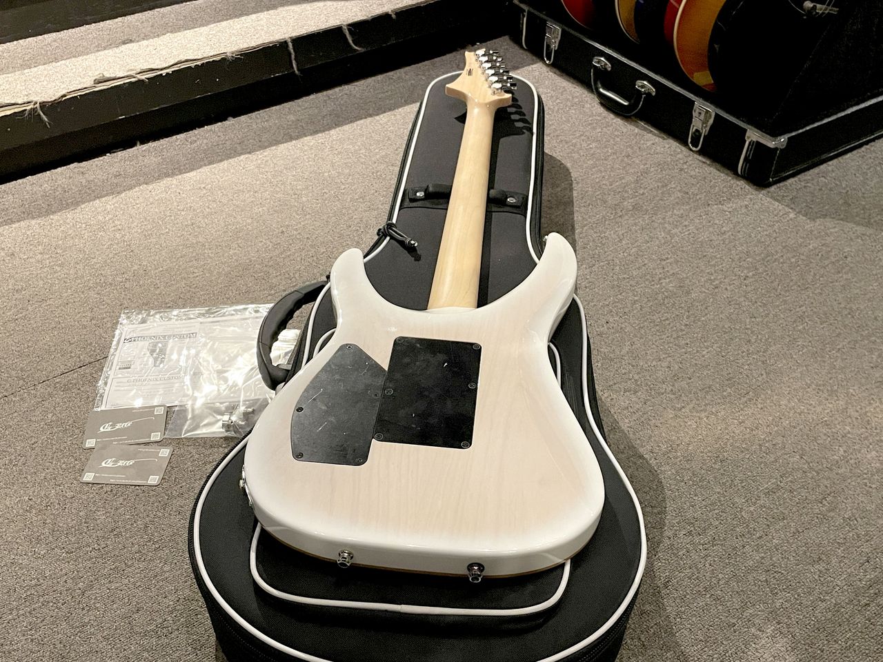 G-Life Guitars DSG Life-Ash Snow White（中古）【楽器検索デジマート】