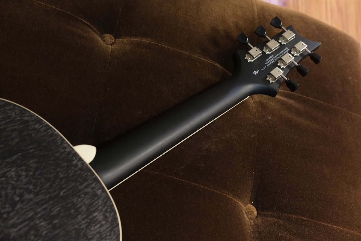 Paul Reed Smith(PRS) SE P20E Parlor with Fishman / Dog Hair 2023年