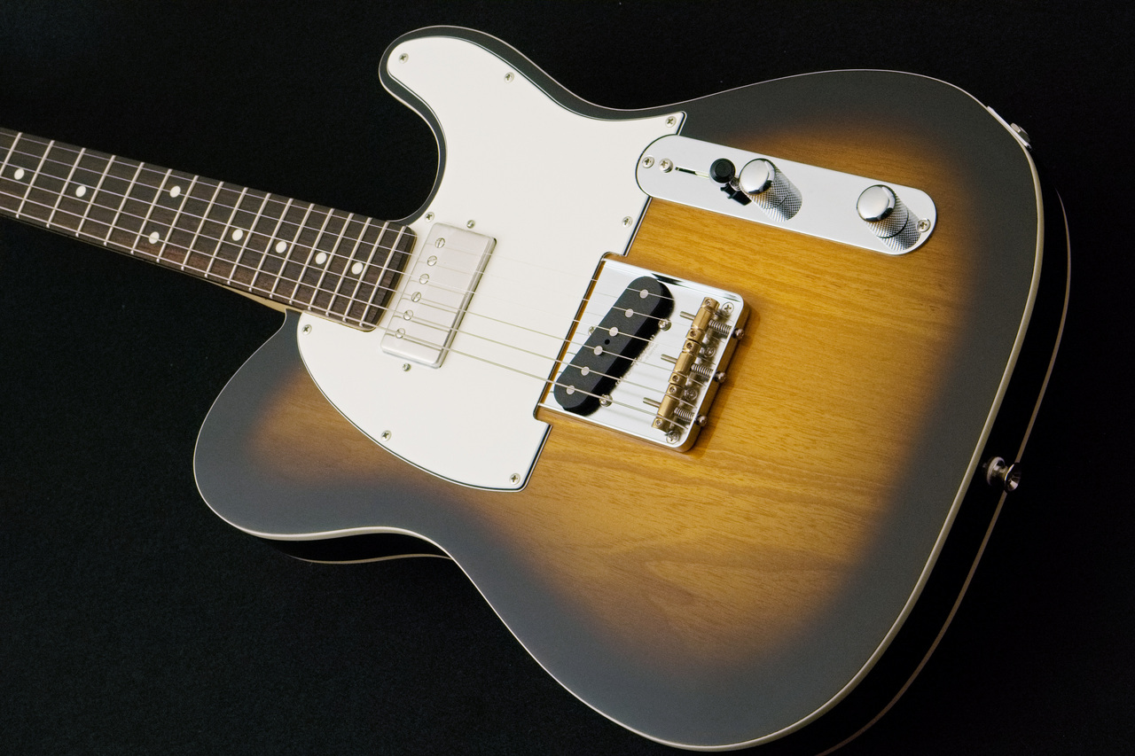 FUJIGEN(FGN) NTE210RAH -2Tone Sunburst-【3.54kg】（新品/送料無料