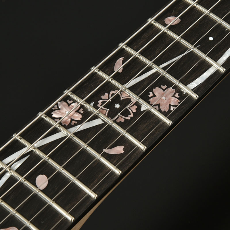 momose MC-KYOZAKURA SP'26/E KZP-VGR【36回払いまでローン無金利