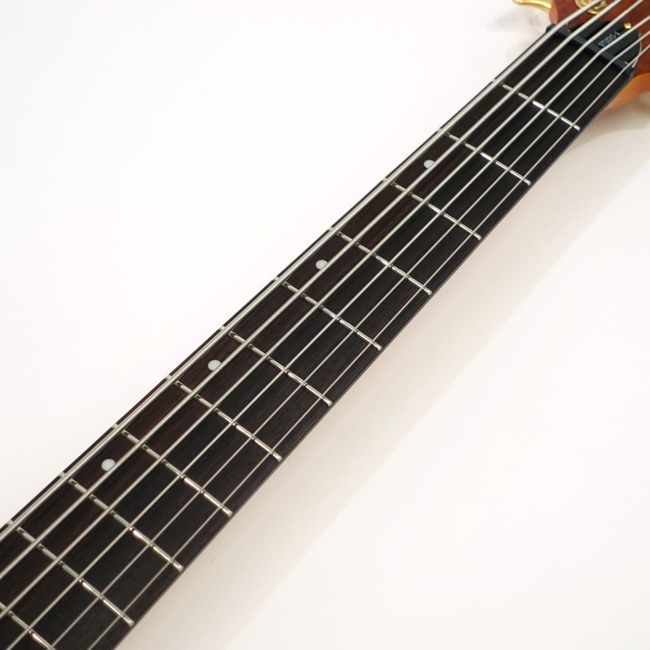 SCHECTER ( シェクター ) STILETTO STUDIO-6 STBLS 送料無料