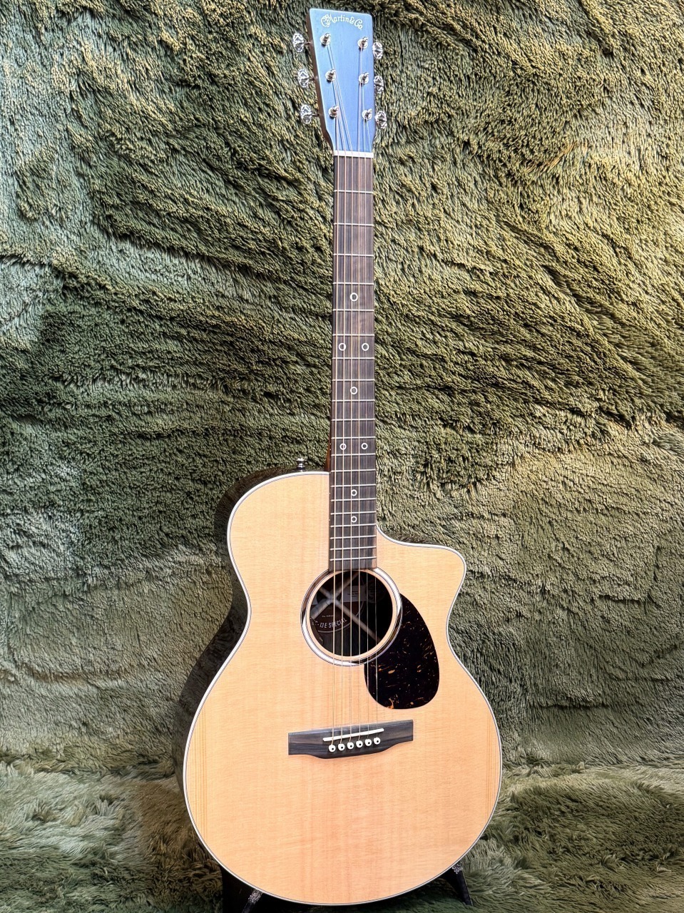 限定セール Guitars Acoustic - Series LL - Series L - Basses