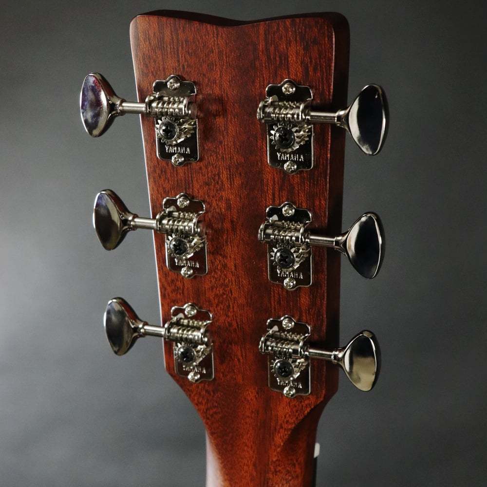 超美品　ヤマハ　FGX5 GLOSS YAMAHA FGX5 GLOSS Red Label エレアコ 【国産】ドレッドノート