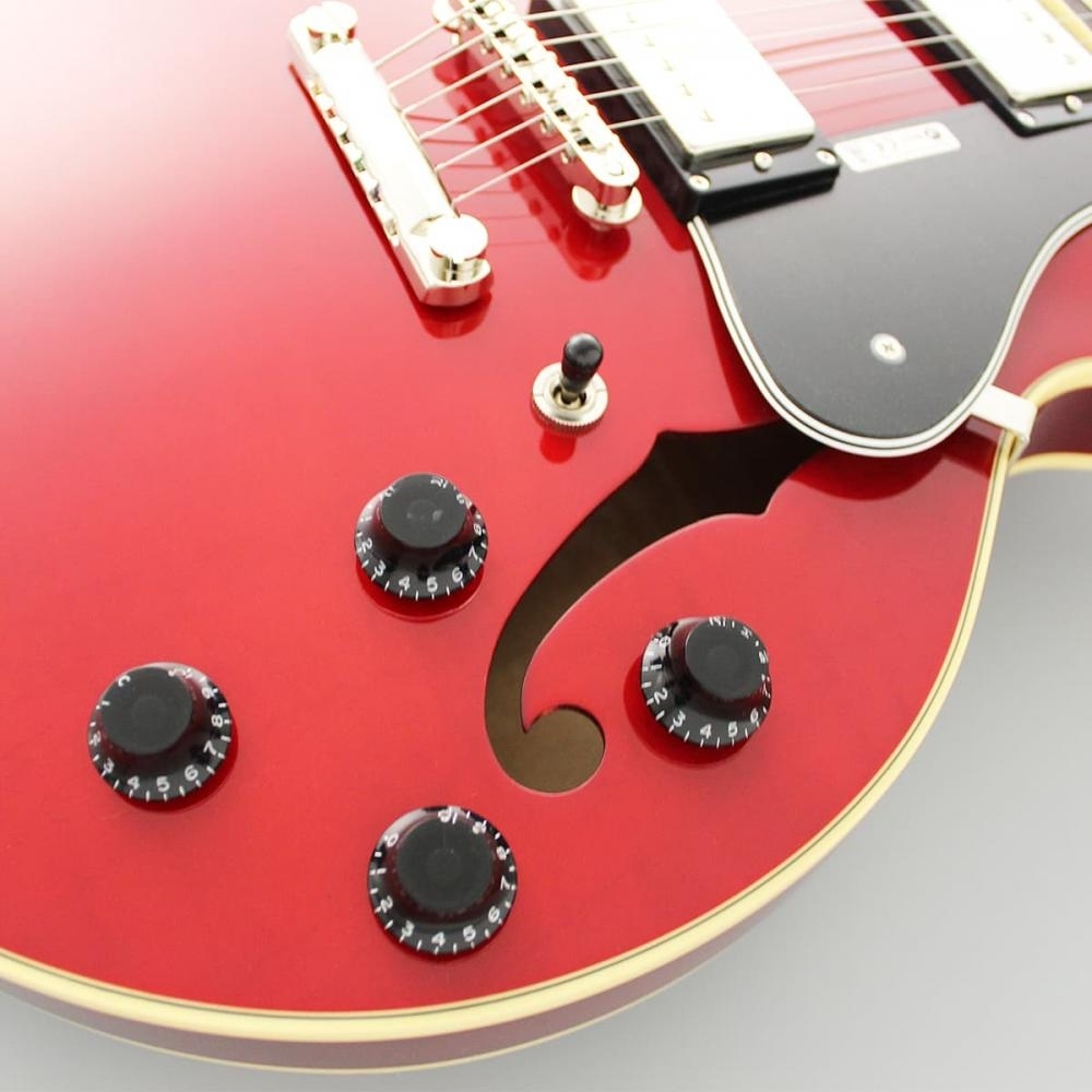 FUJIGEN(FGN) Masterfield MSA-HP/CH (Cherry) フジゲン [日本製