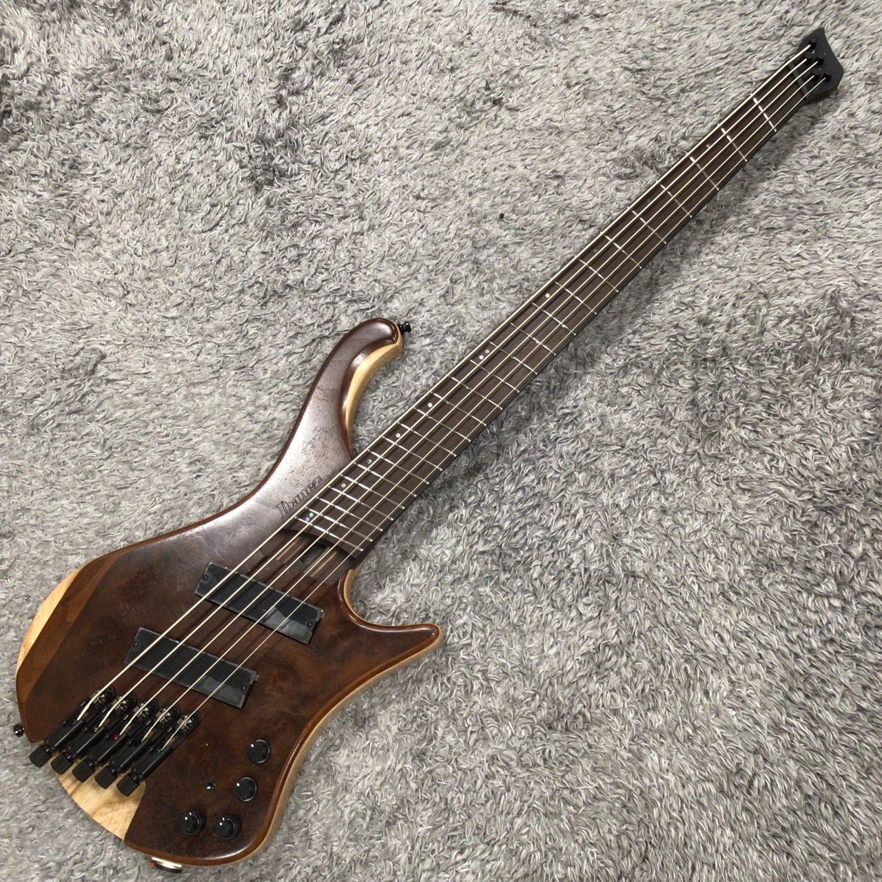 Ibanez EHB1265MS-NML (Natural Mocha Low Gloss) 【SPOTモデル