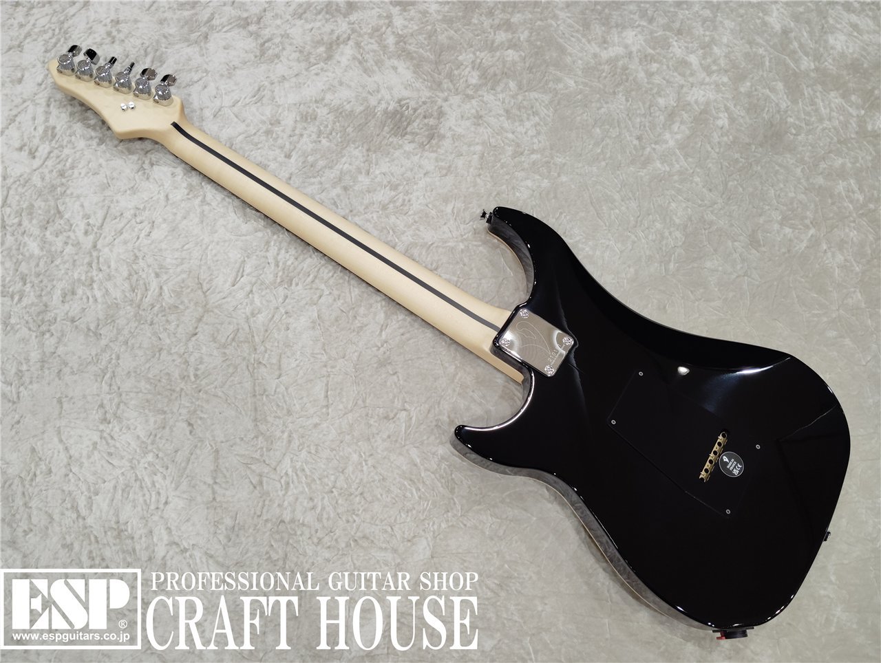 Vigier Guitars Excalibur Custom VE6-CVSP1 / Mysterious Black