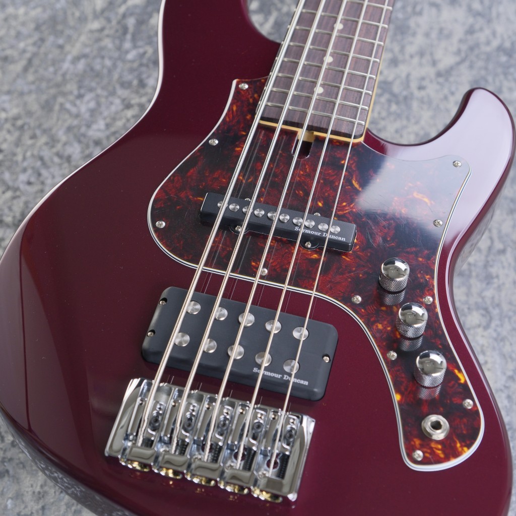 アナカラーバース（5000VTx4、ブラキオ龍樹x3入）【ペテンシーバース】 Zeeee! シーバスルアー サーフェイスコントローラー118F