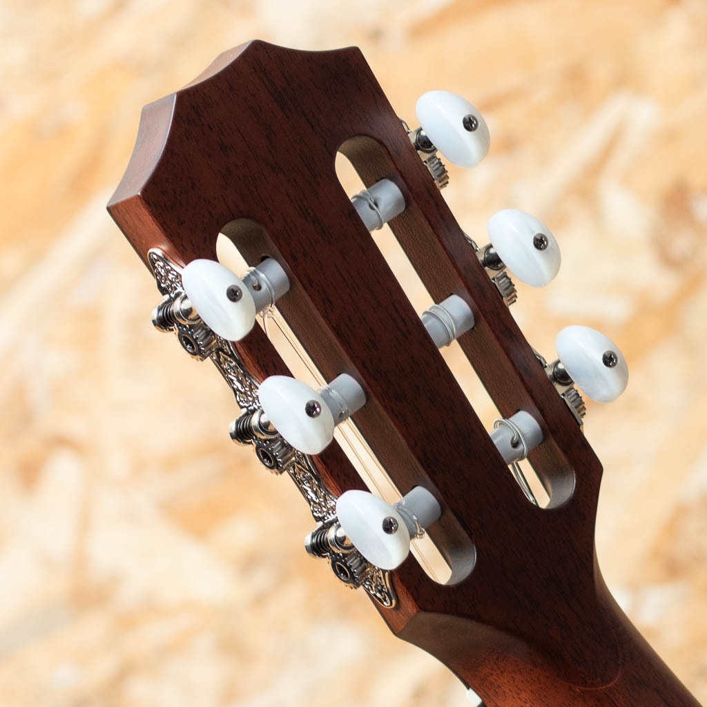 Taylor 312CE-N エレガットギター 極美品 Taylor 312CE-N エレガットギター 極美品 Taylor 312ce-N（新品