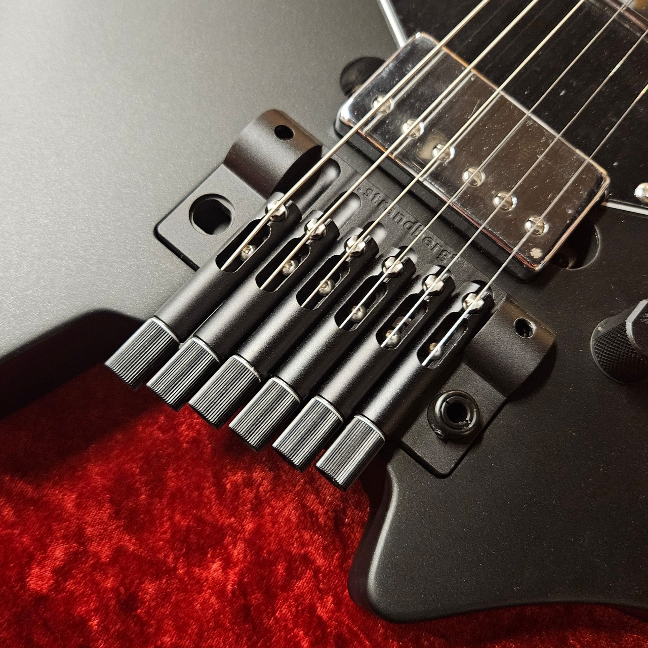 strandberg SALEN CLASSIC NX 6 TREMOLO -BLACK- ≒2.484Kg【専用
