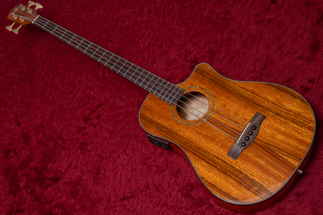 Fender VB-NAT Victor Bailey Signature 2010 2.625kg #CC100822648