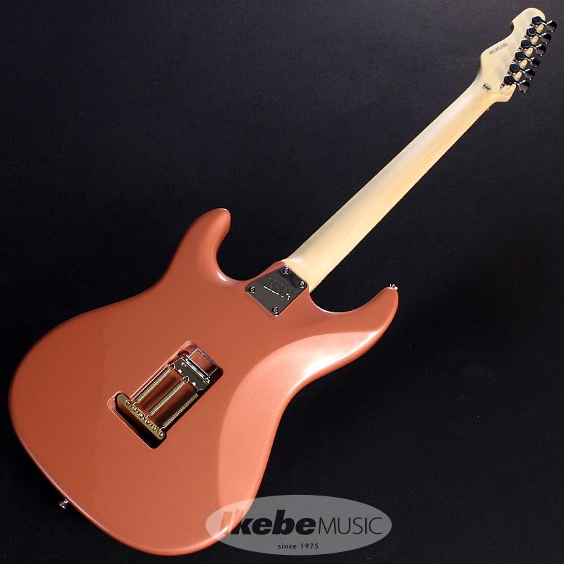 edwards 藤岡 幹大モデル EDWARDS E-SNAPPER Fujioka Custom Vintage Burgundy Mist S/N