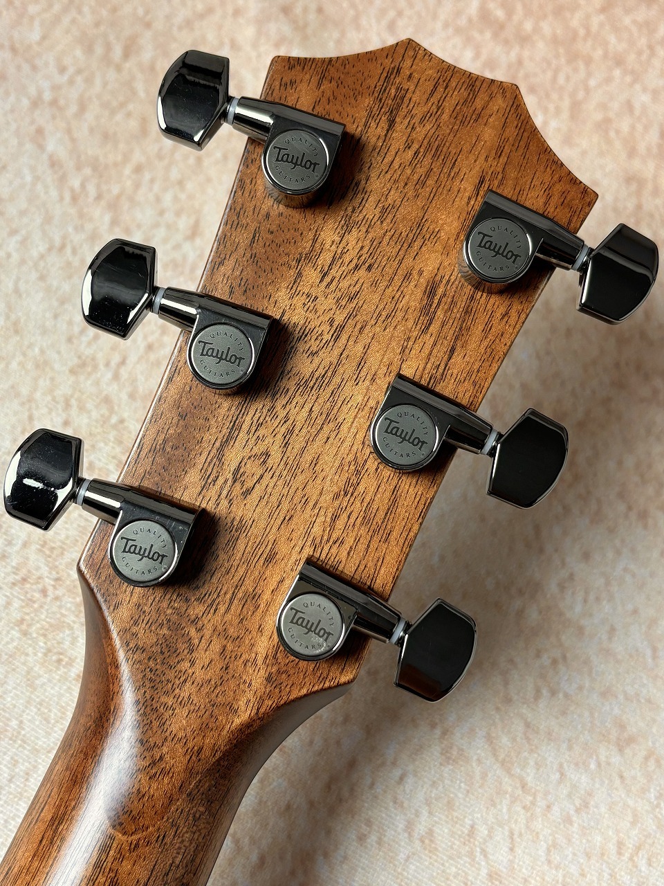Taylor 【Taylor Guitars Tone Show 2026】812ce Next Generation