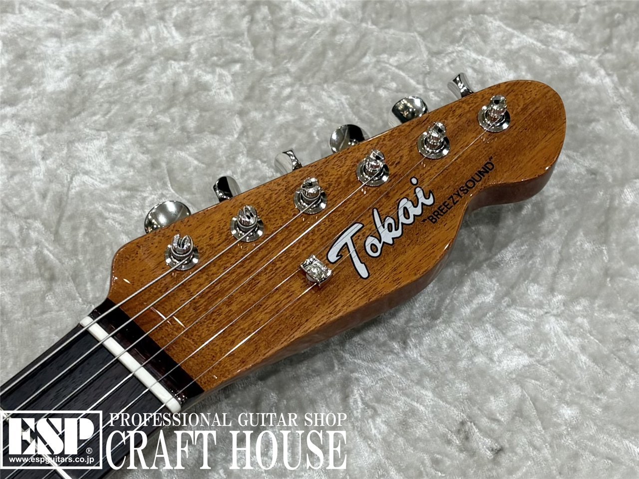 Tokai ATE-103S / Natural（新品/送料無料）【楽器検索デジマート】