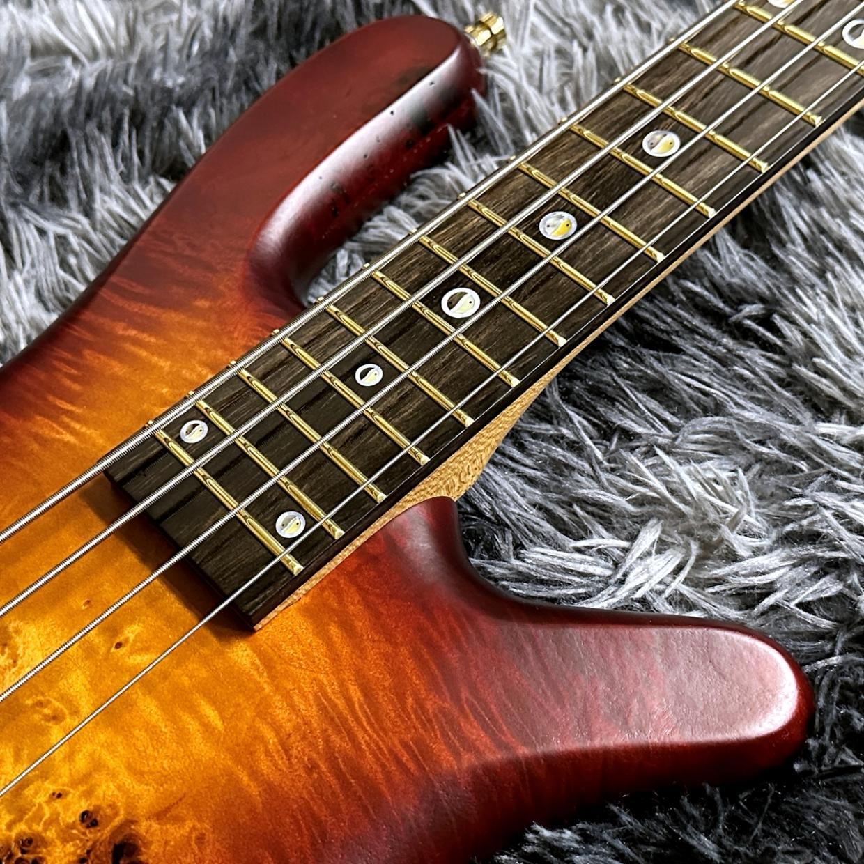 Warwick Teambuilt Streamer LX 4-string Limited Edition 2025 Honey