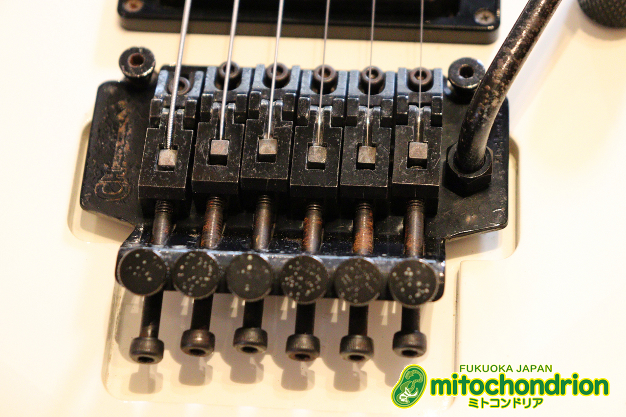 Charvel 1990年代 DK-060-SH / Snow White（中古）【楽器検索デジマート】