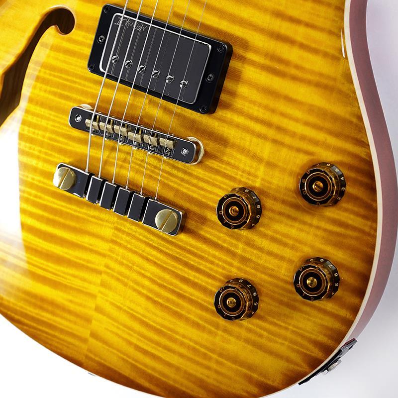 Paul Reed Smith(PRS) Wood Library McCarty 594 Semi-Hollow (McCarty