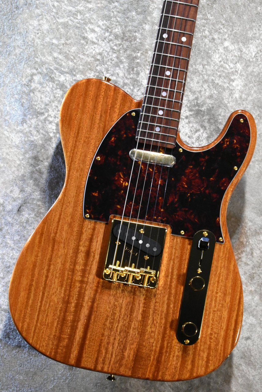Tokai ATE-103G NR #260373【限定モデル、マホガニーネック&ボディー