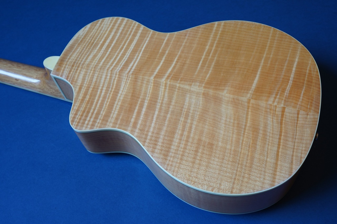 Delta Express TG-Cutaway （新品）【楽器検索デジマート】