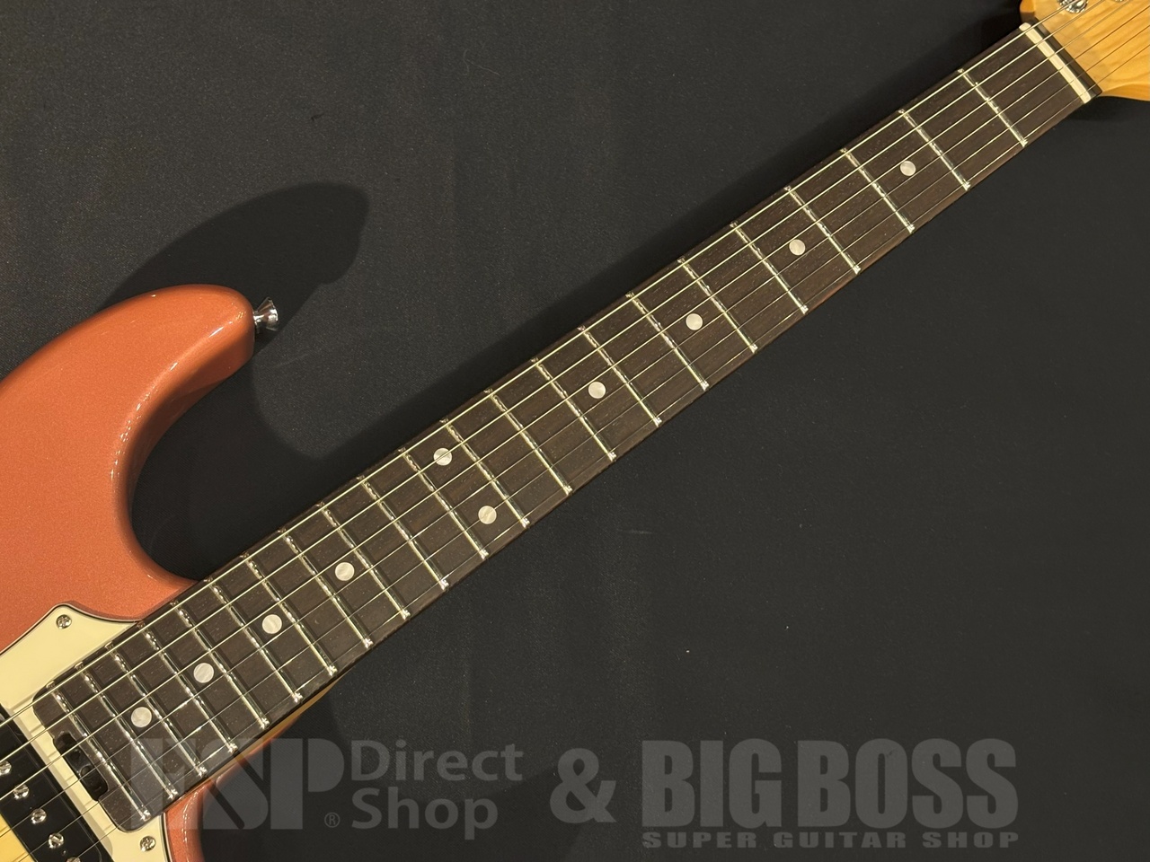 EDWARDS E-SNAPPER Fujioka Custom（新品/送料無料）【楽器検索