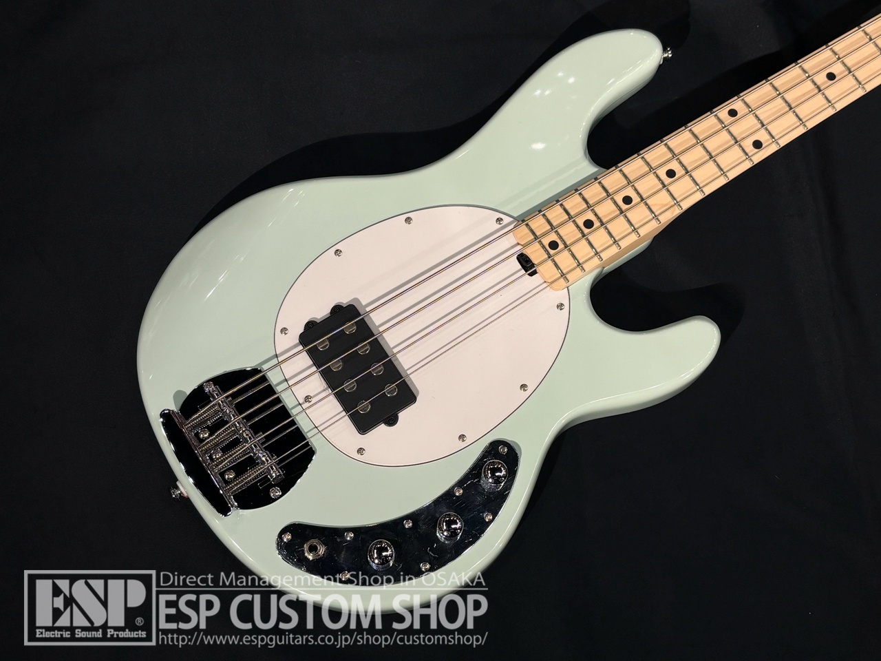 Sterling by MUSIC MAN RAY4 Mint Green