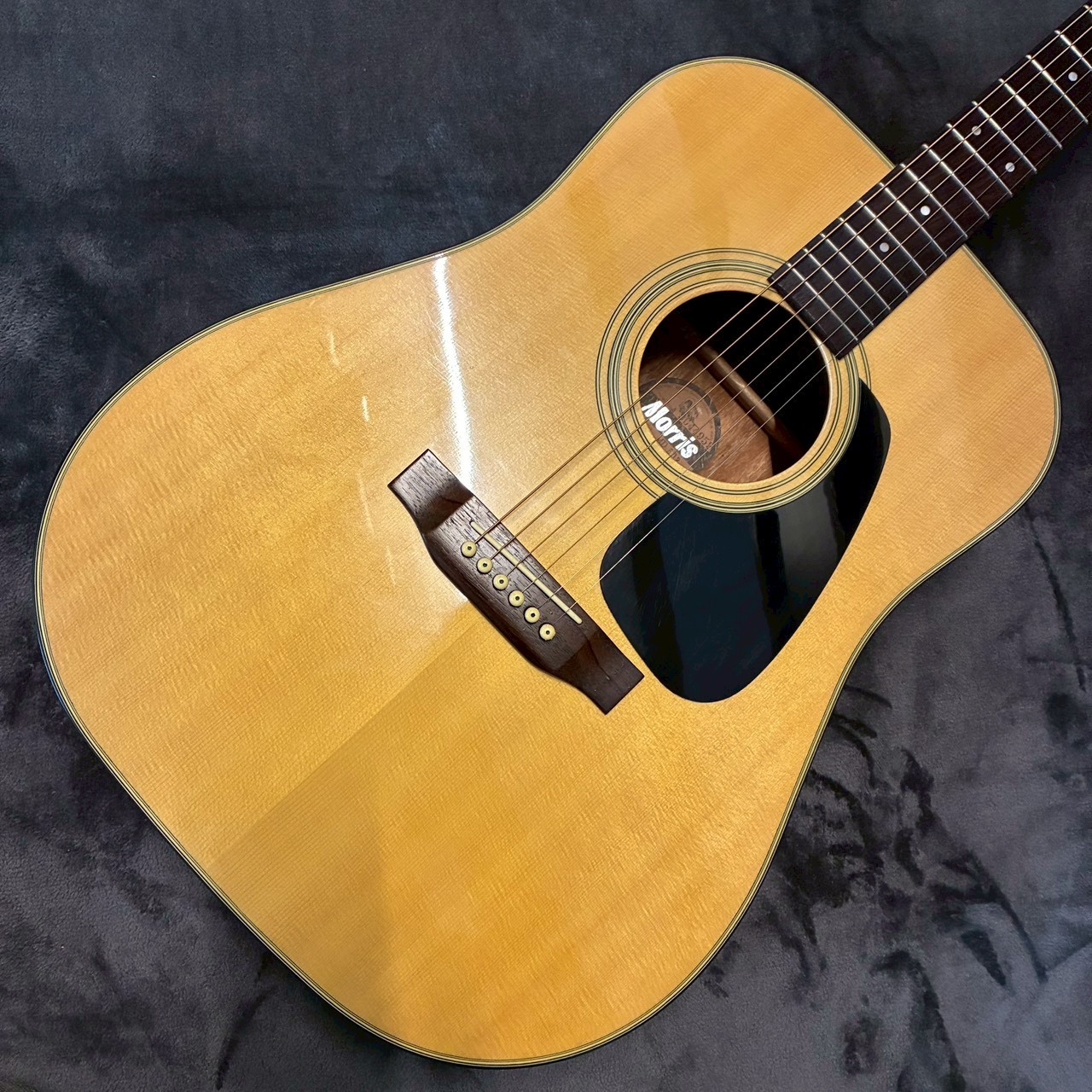 Morris MD502 【USED】【2.08㎏】（中古）【楽器検索デジマート】