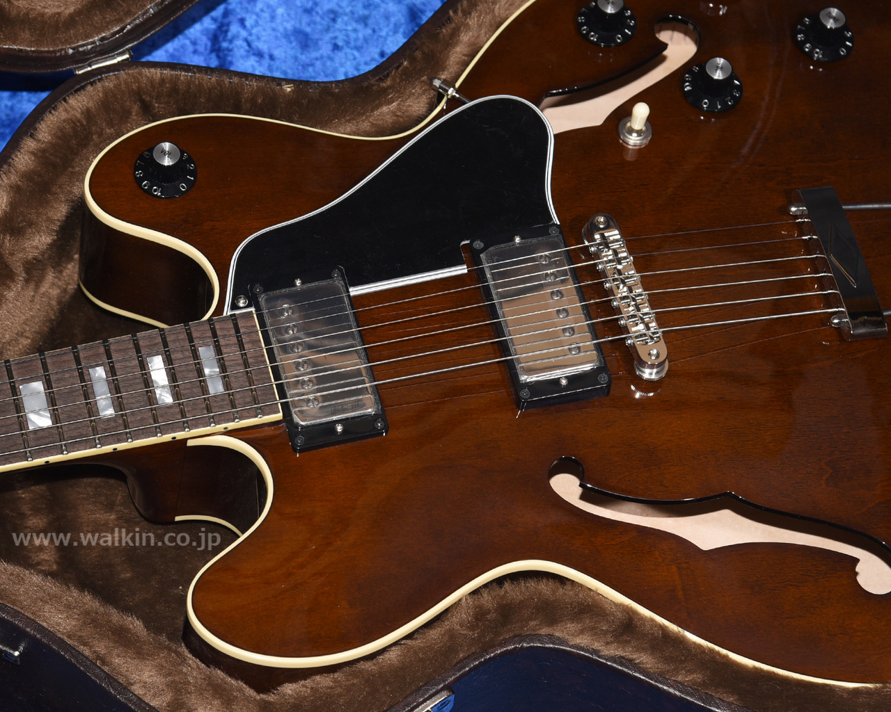 Archtop Tribute AT150D（新品）【楽器検索デジマート】