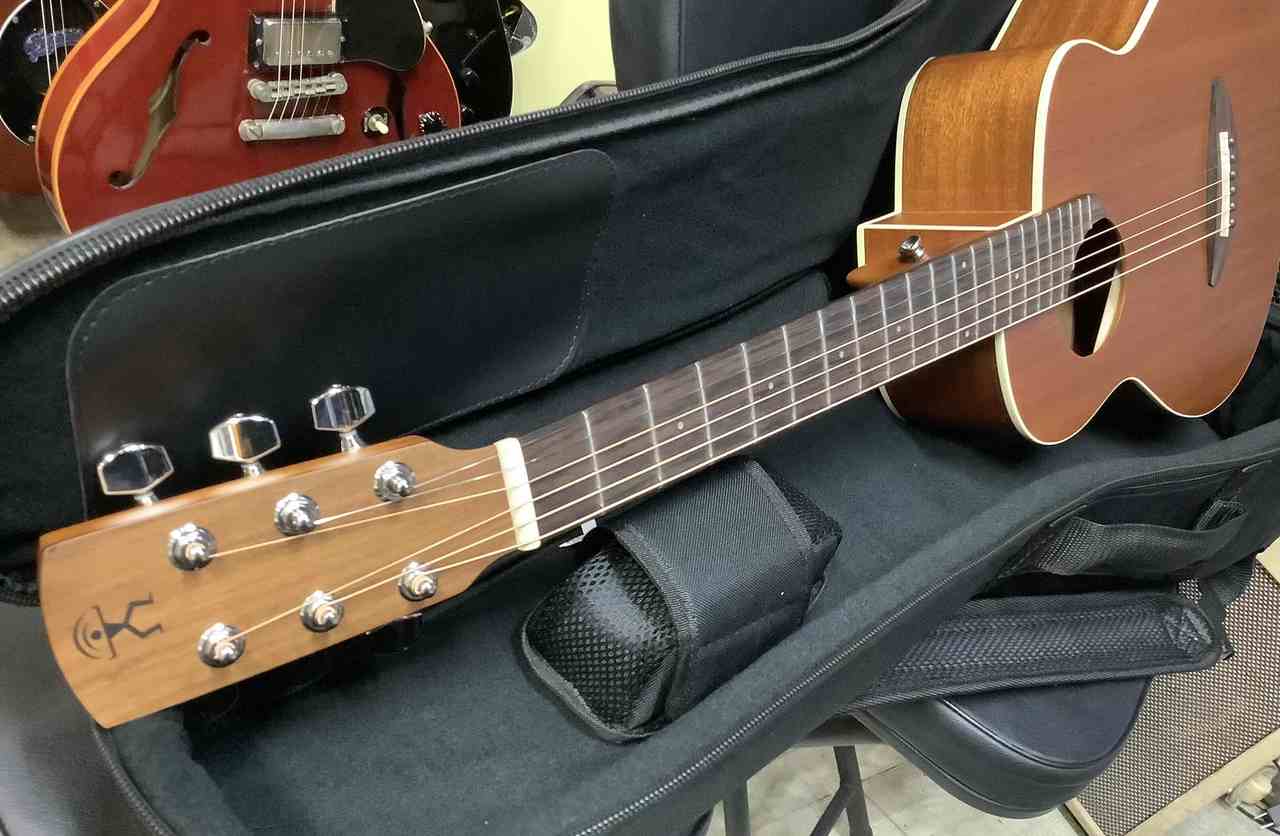 aNueNue aNN-M2 アヌエヌエ M2 ミニギター マイク搭載（新品特価