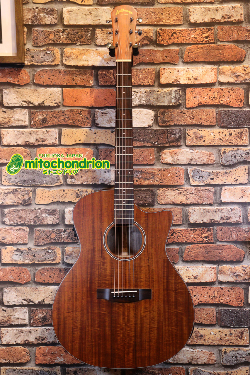 ARIA AF-107KACE / Natural, Open Pore, Matt（新品特価）【楽器検索