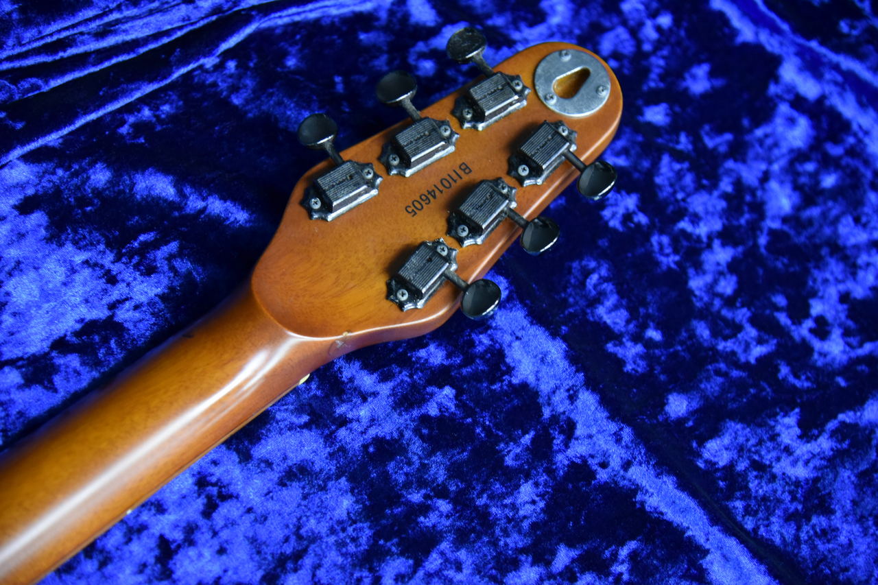 ESP BambooInn-C ピックアップ搭載モデル（中古）【楽器検索デジマート】