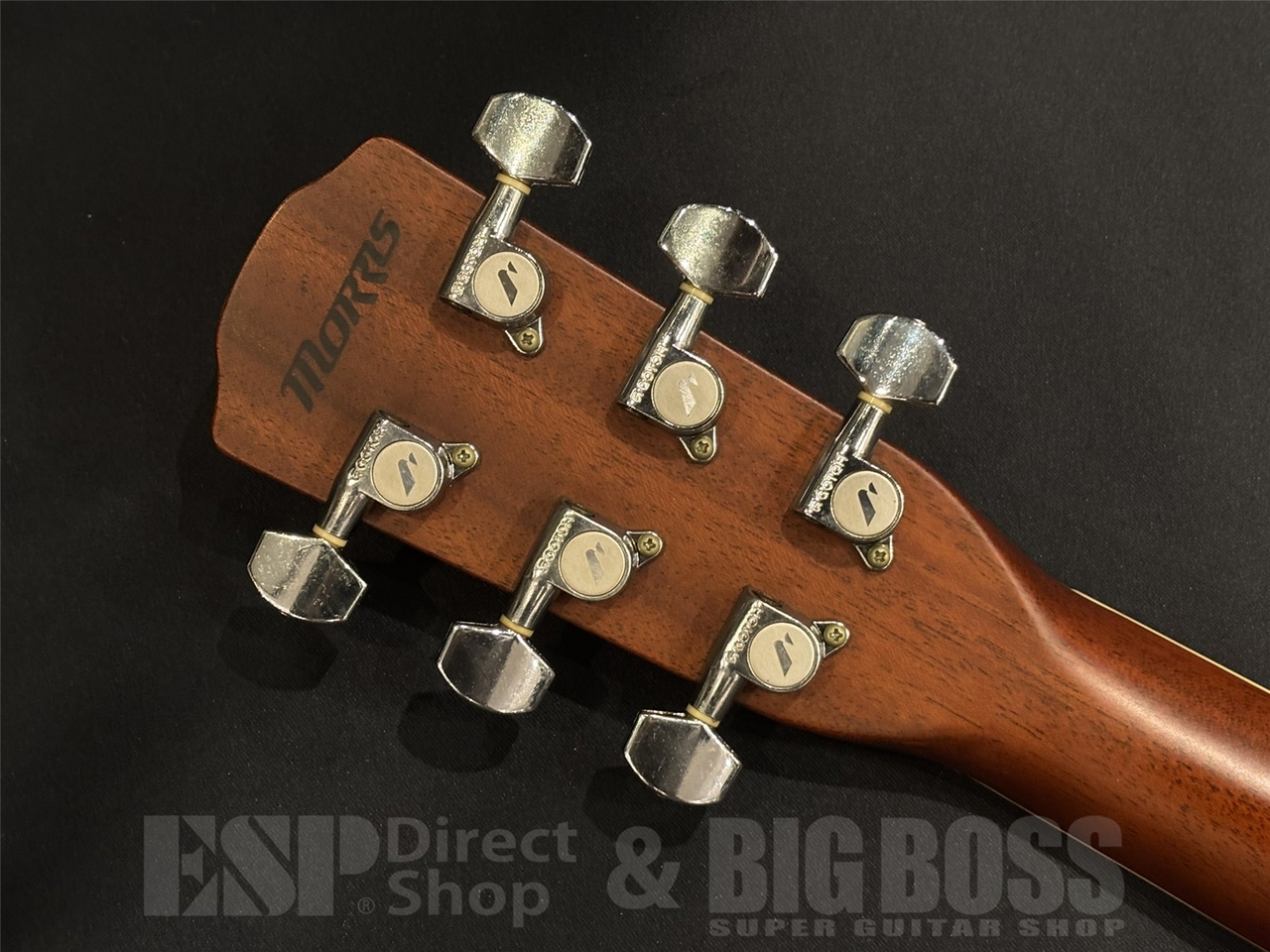 Morris MF501 / Natural（中古/送料無料）【楽器検索デジマート】