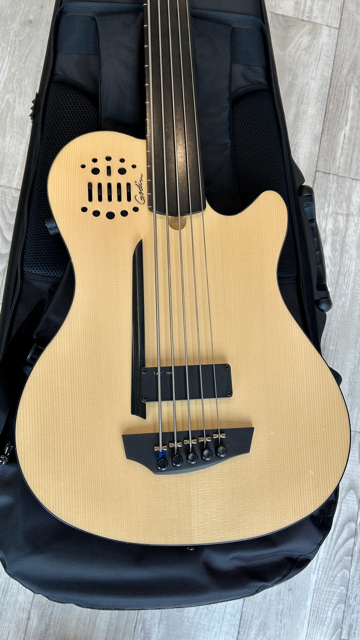 Godin A5 Ultra Natural Fretless A/E(5弦エレアコベース)（中古